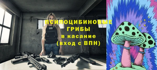 стаф Надым