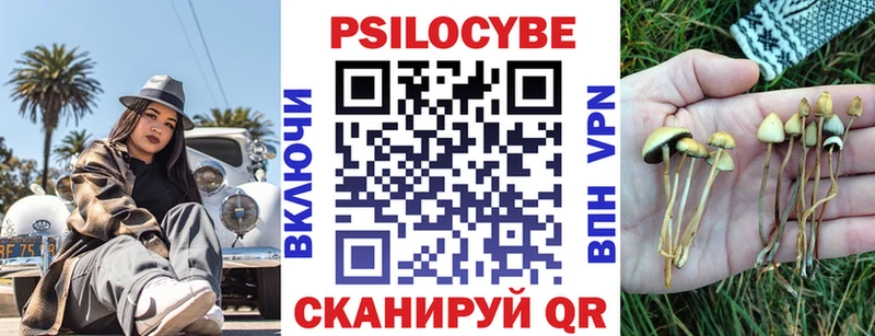 как найти наркотики  Сураж  Галлюциногенные грибы мицелий 